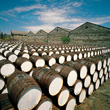 "Fortified wine maturing in the sun" stock image No.00900266v